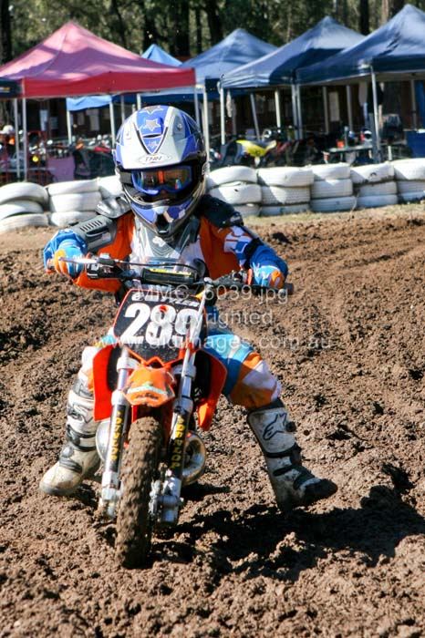 444x677 pixels (101K)